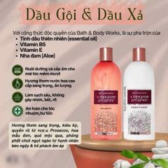 Cặp Dầu Gội & Xả Bath and Body Works 473ml - Hương Thơm Sang Trọng và Dưỡng Tóc Mềm Mượt, Chính Hãng Mỹ