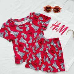 [VNXK] Bộ Đồ HM Cộc Tay Cotton Hè Hàng Xuất Dư Xịn Hình Gấu Thỏ, Khủng Long Đáng Yêu Cho Bé Trai Bé Gái
