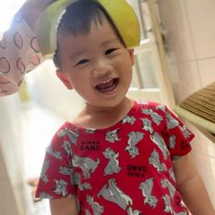[VNXK] Bộ Đồ HM Cộc Tay Cotton Hè Hàng Xuất Dư Xịn Hình Gấu Thỏ, Khủng Long Đáng Yêu Cho Bé Trai Bé Gái