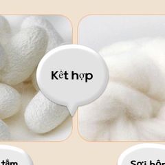 Áo Gile Giữ Nhiệt Kháng Khuẩn Không Đường May Cho Bé - Mặc Lót Ngủ Ấm Áp Lưng Ngực Bụng, Nhiều Size Và Màu Sắc