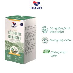 Trà Túi Lọc Cà Gai Leo Kim Ngân Hoa Việt - Hộp 30 Gói Giải Độc Gan, Thanh Nhiệt - Thảo Dược Tự Nhiên An Toàn Sức Khỏe