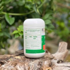 Viên uống Nature's Way Ginkgo 2000 Brain & Memory - Hỗ trợ tăng cường trí nhớ và chức năng nhận thức 120 viên hàng Úc chính ngạch