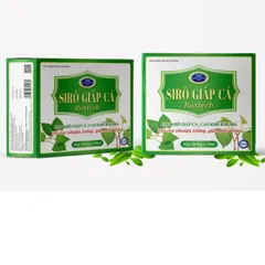Siro Giấp Cá Roxtech Cao Rau Má - Hỗ Trợ Nhuận Tràng, Giảm Táo Bón Cho Bé - Hộp 20 Ống 10ml, Vitamin Tiêu Hóa Tự Nhiên