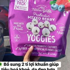 Nature's Garden Probiotic Mixed Berry Yoggies - Snack Trái Cây Phủ Sữa Chua, Giàu Lợi Khuẩn và Chất Xơ - Hộp Tiện Lợi 24 Gói