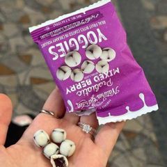 Nature's Garden Probiotic Mixed Berry Yoggies - Snack Trái Cây Phủ Sữa Chua, Giàu Lợi Khuẩn và Chất Xơ - Hộp Tiện Lợi 24 Gói