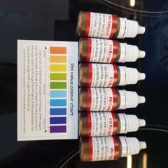 Dung dịch test pH nước - Đo độ axit kiềm, kiểm tra nguồn nước chính xác cao, dễ sử dụng, 80 lần sử dụng, 10ML