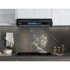 Máy hút mùi Dmestik TL 4870 DMK - Dạng cổ điển lắp tủ bếp - Điều khiển cảm ứng
