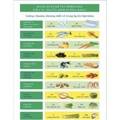 Tảo Spirulina Vĩnh Hảo 500g - Nguyên Chất 100%, Tăng Cường Sức Đề Kháng, Hỗ Trợ Giảm Cân và Tăng Cân, Không Chất Bảo Quản
