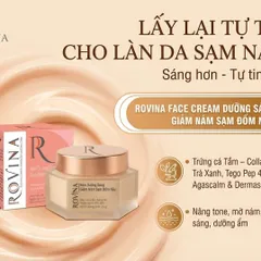Kem Dưỡng Sáng Rovina 25g - Giảm Nám, Mờ Đốm Nâu, Làm Đều Màu Da Tươi Sáng, Dưỡng Ẩm Tự Nhiên