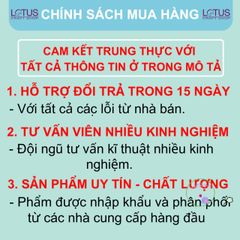 Bột Dạ Quang Phát Sáng Nhiều Màu - Sản Phẩm Nghệ Thuật, Trang Trí Party & Độc Đáo từ LOTUS CRAFT SHOP