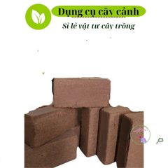 Viên Đất Trồng Cây Nén Sơ Dừa Hữu Cơ - Dinh Dưỡng Chuyên Dụng Cho Cây Kiểng và Rau Mầm, Nở Gấp 5 Lần!