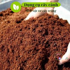 Viên Đất Trồng Cây Nén Sơ Dừa Hữu Cơ - Dinh Dưỡng Chuyên Dụng Cho Cây Kiểng và Rau Mầm, Nở Gấp 5 Lần!