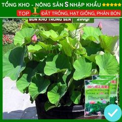 Bùn Khô Trồng Hoa Sen Nhật - Đất Trồng Cây Thủy Sinh 200g, Chăm Sóc Dễ Dàng - Hạt Nảy Mầm Nhanh, Bồi Dưỡng Đất Tốt