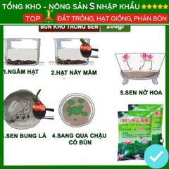 Bùn Khô Trồng Hoa Sen Nhật - Đất Trồng Cây Thủy Sinh 200g, Chăm Sóc Dễ Dàng - Hạt Nảy Mầm Nhanh, Bồi Dưỡng Đất Tốt
