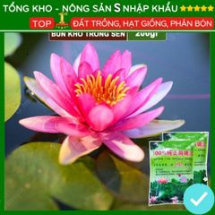 Bùn Khô Trồng Hoa Sen Nhật - Đất Trồng Cây Thủy Sinh 200g, Chăm Sóc Dễ Dàng - Hạt Nảy Mầm Nhanh, Bồi Dưỡng Đất Tốt