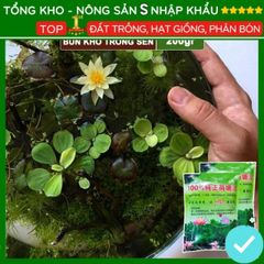 Bùn Khô Trồng Hoa Sen Nhật - Đất Trồng Cây Thủy Sinh 200g, Chăm Sóc Dễ Dàng - Hạt Nảy Mầm Nhanh, Bồi Dưỡng Đất Tốt