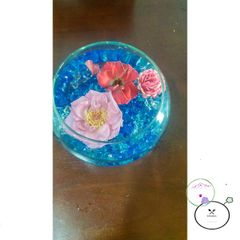 Hạt Tinh Thể Nở 10g Đủ Màu - Giải Pháp Trang Trí Cây Cảnh, Cắm Hoa, An Toàn Cho Không Gian Sống Tươi Đẹp