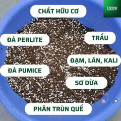 Đất Trồng Cây Nội Thất Giàu Dinh Dưỡng - Phù Hợp Cho Cây Văn Phòng & Hoa - Gói 1kg | Living Decor