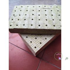 Gói 50 viên Giá Thể Rockwool Ươm Cây 38x38x50cm - Giải Pháp Gieo Hạt Tối Ưu Cho Thủy Canh và Khí Canh, Tỷ Lệ Nẩy Mầm Cao