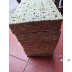 Gói 50 viên Giá Thể Rockwool Ươm Cây 38x38x50cm - Giải Pháp Gieo Hạt Tối Ưu Cho Thủy Canh và Khí Canh, Tỷ Lệ Nẩy Mầm Cao