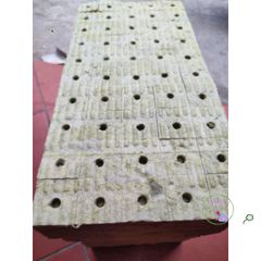 Gói 50 viên Giá Thể Rockwool Ươm Cây 38x38x50cm - Giải Pháp Gieo Hạt Tối Ưu Cho Thủy Canh và Khí Canh, Tỷ Lệ Nẩy Mầm Cao