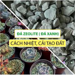 Đá Zeolite Khoáng Tự Nhiên Cho Sen Đá - Kích Thước 2-4mm & 3-6mm, Hỗ Trợ Cải Tạo Đất, Túi 1kg, Thích Hợp Trộn Giá Thể