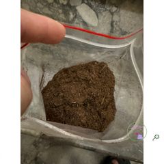 Giá thể than bùn ươm hạt giống cao cấp 1kg - Peat Moss nhập khẩu từ Latvia, dinh dưỡng cao cho cây trồng khỏe mạnh, giữ ẩm tuyệt vời