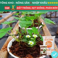 Xơ Dừa Xử Lý 1kg - Giải Pháp Tối Ưu Dinh Dưỡng Cho Cây Trồng, Hoa, Dâu Tây và Thủy Canh Hữu Cơ, Giữ Ẩm Tốt, Tăng Độ Xốp Đất