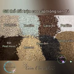Bộ đất trồng sen đá và cây cảnh cao cấp - Mix đá tự nhiên và peat moss, cung cấp dinh dưỡng tuyệt vời cho cây trồng của bạn.
