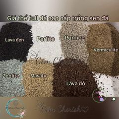Bộ đất trồng sen đá và cây cảnh cao cấp - Mix đá tự nhiên và peat moss, cung cấp dinh dưỡng tuyệt vời cho cây trồng của bạn.