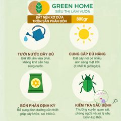 Đất Nén Hữu Cơ GreenHome 800gr - Viên Nén Phân Bón Tăng Trưởng Rau Hoa, Nở Gấp 5 Lần, Tiện Lợi, Tái Sử Dụng