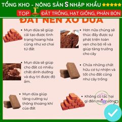 Viên Đất Nén Xơ Dừa Hữu Cơ - Vật Liệu Trồng Cây Sạch, Dinh Dưỡng Tự Nhiên, Giúp Phát Triển Khỏe Mạnh 500g