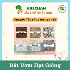 Giá Thể Xơ Dừa Ơm Hạt Giống Chuẩn Nhật Bản Haechan - Phát Triển Nhanh Cây Trồng, An Toàn Cho Nông Sản Sạch