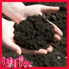 1 Kg Đất Vườn Dinh Dưỡng Cho Cây Cảnh, Hoa Và Rau Củ - Hạt Nảy Mầm Tốt Nhất Cho Dâu Tây, Sen Đá, Sương Rồng
