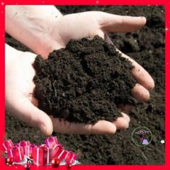 1 Kg Đất Vườn Dinh Dưỡng Cho Cây Cảnh, Hoa Và Rau Củ - Hạt Nảy Mầm Tốt Nhất Cho Dâu Tây, Sen Đá, Sương Rồng