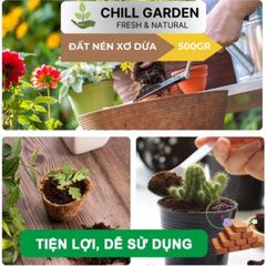 Bộ 10 Viên Nén Xơ Dừa Ơm Hạt Giống - Nở Gấp 8 Lần, Chậu Trồng Cây Trong Nhà Phố, Phù Hợp Với Khí Hậu Việt Nam