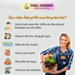 Bộ 10 Viên Nén Xơ Dừa Ơm Hạt Giống - Nở Gấp 8 Lần, Chậu Trồng Cây Trong Nhà Phố, Phù Hợp Với Khí Hậu Việt Nam