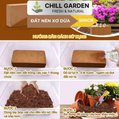 Bộ 10 Viên Nén Xơ Dừa Ơm Hạt Giống - Nở Gấp 8 Lần, Chậu Trồng Cây Trong Nhà Phố, Phù Hợp Với Khí Hậu Việt Nam