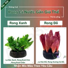 Giá Thể Trồng Cây Rong Thủy Sinh AquaBloom - Nutrient-Rich Aquatic Plant Medium, Dễ Dàng Sử Dụng, Không Gây Ô Nhiễm Nước