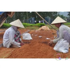 Giá Thể Ươm Giống 1Kg - Hỗn Hợp Đất Phù Sa & Cát An Toàn, Dinh Dưỡng Đầy Đủ, Chuyên Dụng Cho Hạt Mầm & Cây Giống