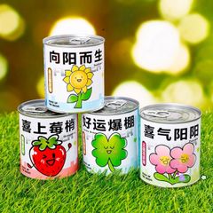 Bộ Hạt Giống Hoa Mini - Trải Nghiệm Trồng Cây Tại Nhà Cho Bé - Khám Phá Quá Trình Nảy Mầm Hấp Dẫn
