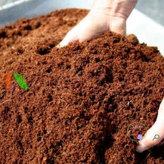 Viên Đất Nén Xơ Dừa Hữu Cơ 600g - Giá Thể Trồng Rau Sạch, Không Mầm Bệnh, Cung Cấp Dinh Dưỡng Tự Nhiên Rất Tốt