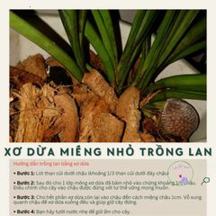 Xơ Dừa Xử Lý - Giá Thể Trồng Hoa Lan & Cây Kiểng, Tăng Độ Thoáng Khí và Giữ Ẩm Hiệu Quả, 100% Từ Cùi Dừa Tươi