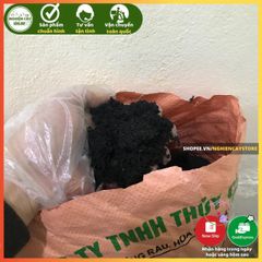 Đất Trồng Sẵn 1kg Chibas - Dinh Dưỡng Cao cho Cây Cảnh, Hoa, Rau Sạch và Sen Đá Từ Công Ty TNHH Thủy Cam