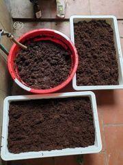 Bộ 20 Viên Phân Đất Trồng Cây Hữu Cơ Từ Xơ Dừa - Giúp Trồng Rau Sạch, Hoa Cảnh Dễ Dàng và An Toàn