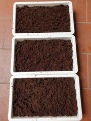 Bộ 20 Viên Phân Đất Trồng Cây Hữu Cơ Từ Xơ Dừa - Giúp Trồng Rau Sạch, Hoa Cảnh Dễ Dàng và An Toàn