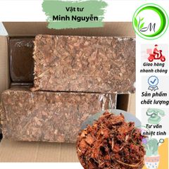 Bộ 10 Viên Nén Xơ Dừa Băm 500G - Giá Thể Trồng Cây Cảnh, Lan Hồ Điệp và Bonsai Hữu Cơ, Giữ Ẩm Tốt