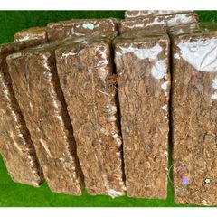 Bộ 10 Viên Nén Xơ Dừa Băm 500G - Giá Thể Trồng Cây Cảnh, Lan Hồ Điệp và Bonsai Hữu Cơ, Giữ Ẩm Tốt