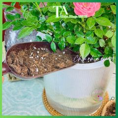 Hỗn hợp Đất Trồng Hoa 1KG - Dinh Dưỡng Cao, Phù Hợp Mọi Loại Cây, An Toàn và Hiệu Quả cho Cây Cảnh