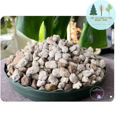Đá bọt PUMICE 1kg - Vật liệu trồng cây sen đá, rau thủy canh và lọc nước cho hồ cá - Chất lượng Indonesia